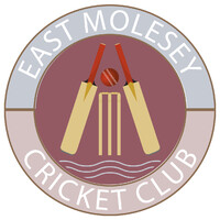 East Molesey Cricket Club logo - Similar company to Cricket Connections