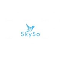 SKYSO logo - Similar company to Raster Engineering Solutions