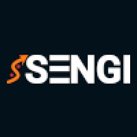 Sengi Solutions logo - Similar company to Sengi
