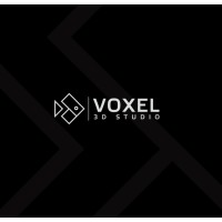 Voxel 3d Studio logo - Similar company to Ninetails Studio