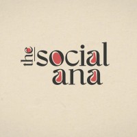 the social ana logo - Similar company to Marketedgedynamics