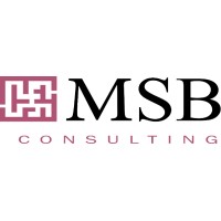 MSB Consulting logo - Similar company to Vo Lab