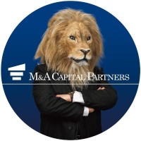 M&Aキャピタルパートナーズ株式会社 logo - Similar company to Tranbi
