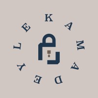 Kamadeyle Solutions logo - Similar company to Chicago Associate Board Of Ambassadors