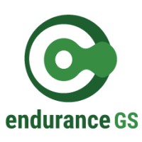 endurance GS logo - Similar company to Data2Mkt Marketing Intelligence