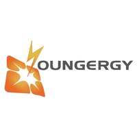 Youngergy Technologies  Co., Ltd. logo - Similar company to Golden Concord Holdings Limited