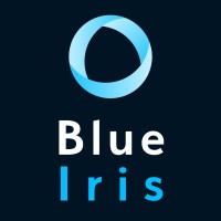 Blue Iris logo - Similar company to The Simon Assessment