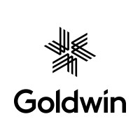 Goldwin, GOLDWIN INC. logo - Similar company to First Virtual Communications