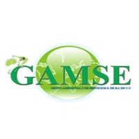 GAMSE MX logo - Similar company to Amak Solutions