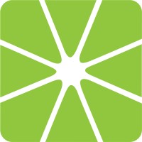 Lime Concepts logo - Similar company to Zenith Solutions