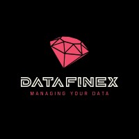 DataFinex logo - Similar company to Webpyrix