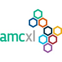 AMC XL logo - Similar company to Balkan And Black Sea Petroleum Association