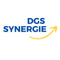 DGS Synergie logo - Similar company to Irama Consulting