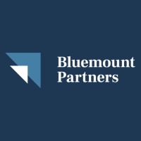 Bluemount Partners logo - Similar company to Finarbit Ag