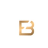 FinBridge Technologies Private Limited logo - Similar company to Finbridge Advisors
