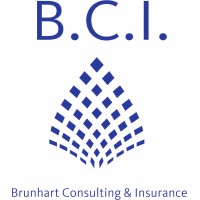 Brunhart Consulting & Insurance logo - Similar company to Terran Automata Llc