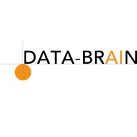 Data-BrAIn logo - Similar company to Data Brain