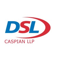 DSL Caspian logo - Similar company to Timberstone Tools Inc.