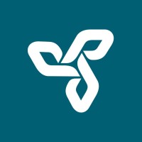 The Pioneer Group logo - Similar company to Trident Group – Uk