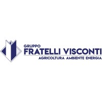 Gruppo Fratelli Visconti logo - Similar company to Gruppo Visconti