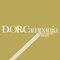 D.OR.Campania logo - Similar company to Strategix Srl