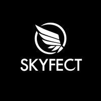 Skyfect logo - Similar company to Cavalry Studios
