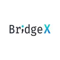 Bridge X logo - Similar company to Eptec