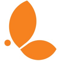 Chrysalis Consulting Solutions logo - Similar company to Fdc Advisory (Dxb)