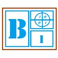 BiniWorld Innovations Pvt Ltd logo - Similar company to Ention