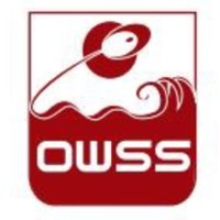 Ocean Waves Security System L.L.C logo - Similar company to Arix System Technologies