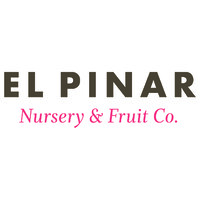 El Pinar logo - Similar company to Luxintec