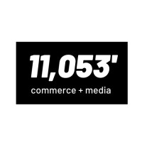 11,053' Consulting logo - Similar company to Record