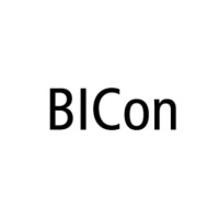 BICon | Business & IT Consulting logo - Similar company to Bicon Technology