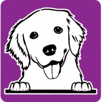 Capsa Labs, Llc (Book Retriever)