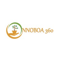 Nnoboa 360 logo - Similar company to Scispark Innovation Educational Consult