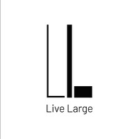 LiveLarge Home Inc logo - Similar company to Bay Modular