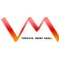 Virmousil Maroc sarl logo - Similar company to Novindus