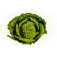 More Cabbage: Web Sites, Internet Marketing & Branding