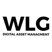 WLG Capital logo - Similar company to Sas Techvision