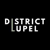 District Lupel logo - Similar company to Syncbroker