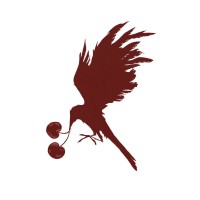 The NWA Collective logo - Similar company to University Of Arkansas Distinguished Lectures Committee