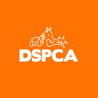 DSPCA logo - Similar company to Team Virtual