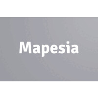 Mapesia logo - Similar company to Great Solution And Services Co., Ltd