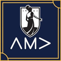 UNCG Chapter of AMA logo - Similar company to Uncg Student Government Association