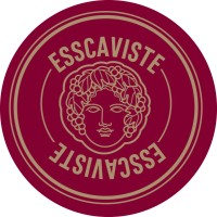 ESSCAVISTE logo - Similar company to Mcfly Arcades
