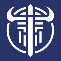 VIKING DATA logo - Similar company to Re:Cinq