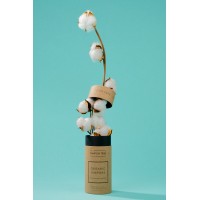 Tampon Tribe logo - Similar company to Pitchnode