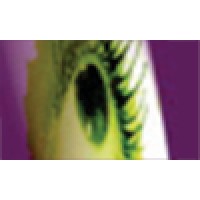 Visions In Light Productions