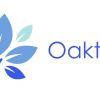 Oaktree IT Solutions logo - Similar company to Network Tree