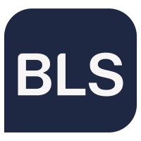 BLS Company - Consultoria Empresarial e Outsourcing logo - Similar company to The Ittun Initiative